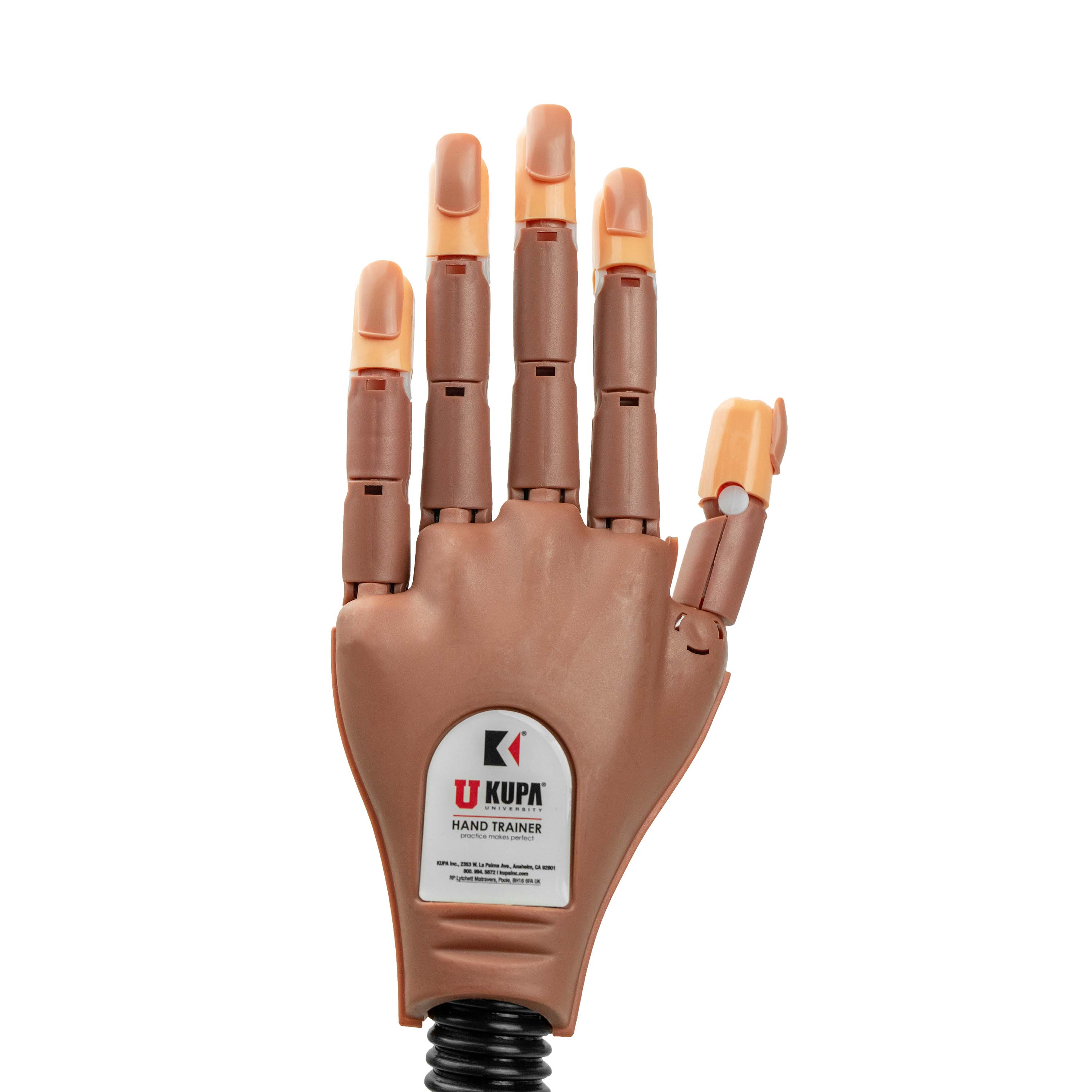 kupa-the-nail-trainer-main-d-entra-nement-articul-e-avec-ongles-rempla-ables-pou image 2
