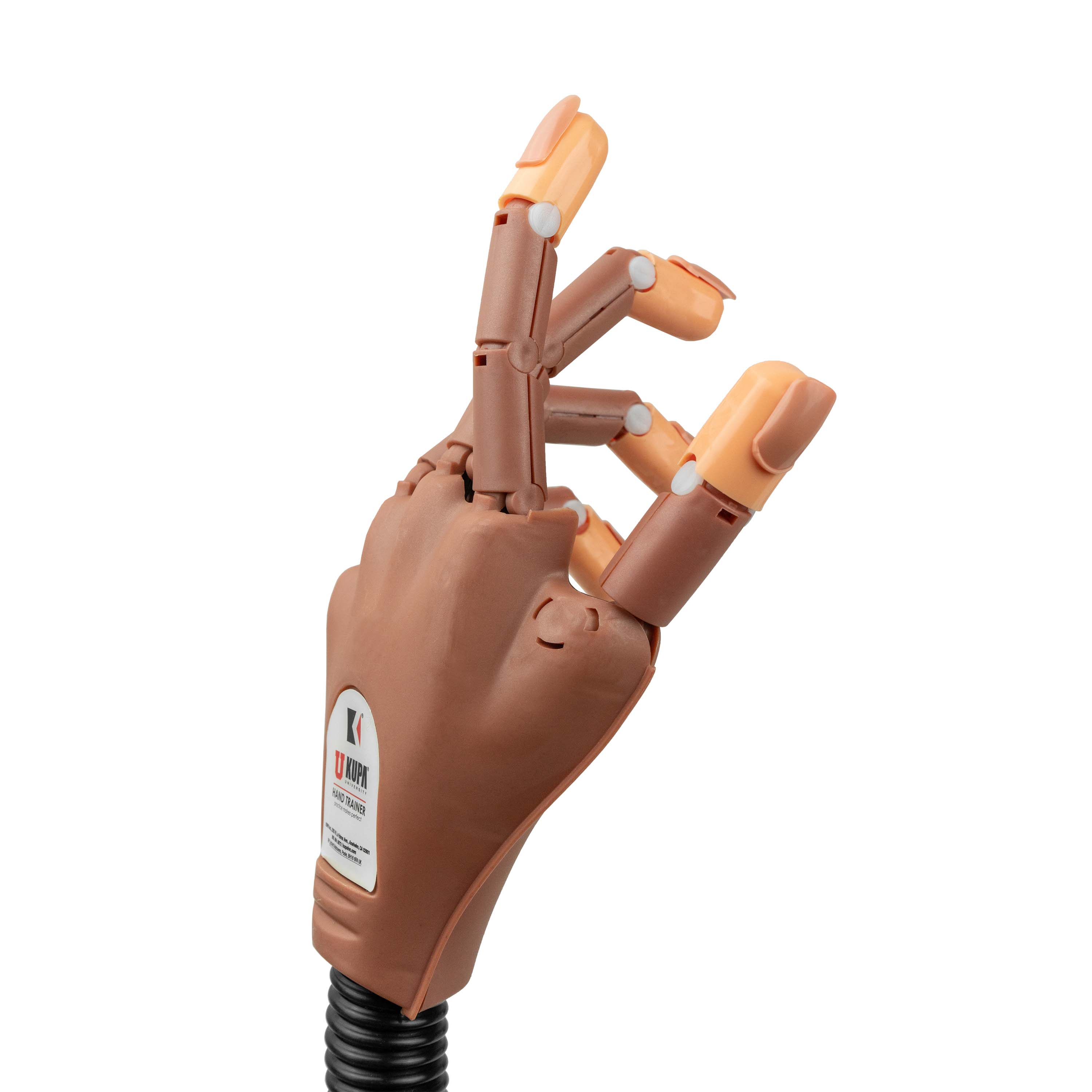 kupa-the-nail-trainer-main-d-entra-nement-articul-e-avec-ongles-rempla-ables-pou image 3